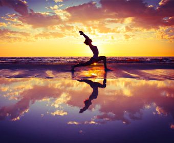 Hansa Yoga Vinyasa Yoga Hamburg Winterhude Barmbek Yogaspecial Stefanie Leu Herbst