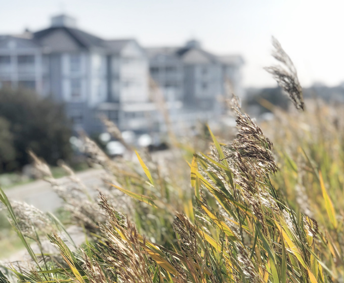 Forrest Yoga Yogareise Yogawochenende Beach Motel SPO St. Peter-Ording Nordsee Sommer Juni 2020