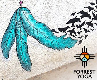 Forrest Yogakurse mit Luisa 2020 bei Hansa Yoga Hamburg Winterhude Barmbek