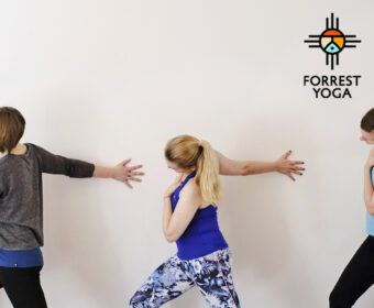 Hansa Yoga Online Forrest Yoga Dienstag April Mai Juni 2021 Hamburg Barmbek Winterhude