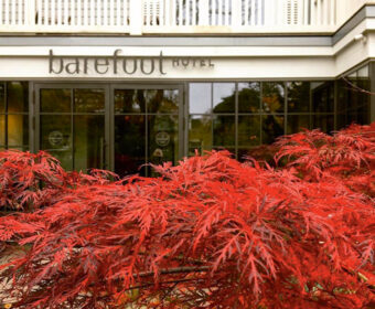 Forrest Yogareise Yogawochenende Til Schweiger Barefoot Hotel Timmendorfer Strand Ostsee Herbst